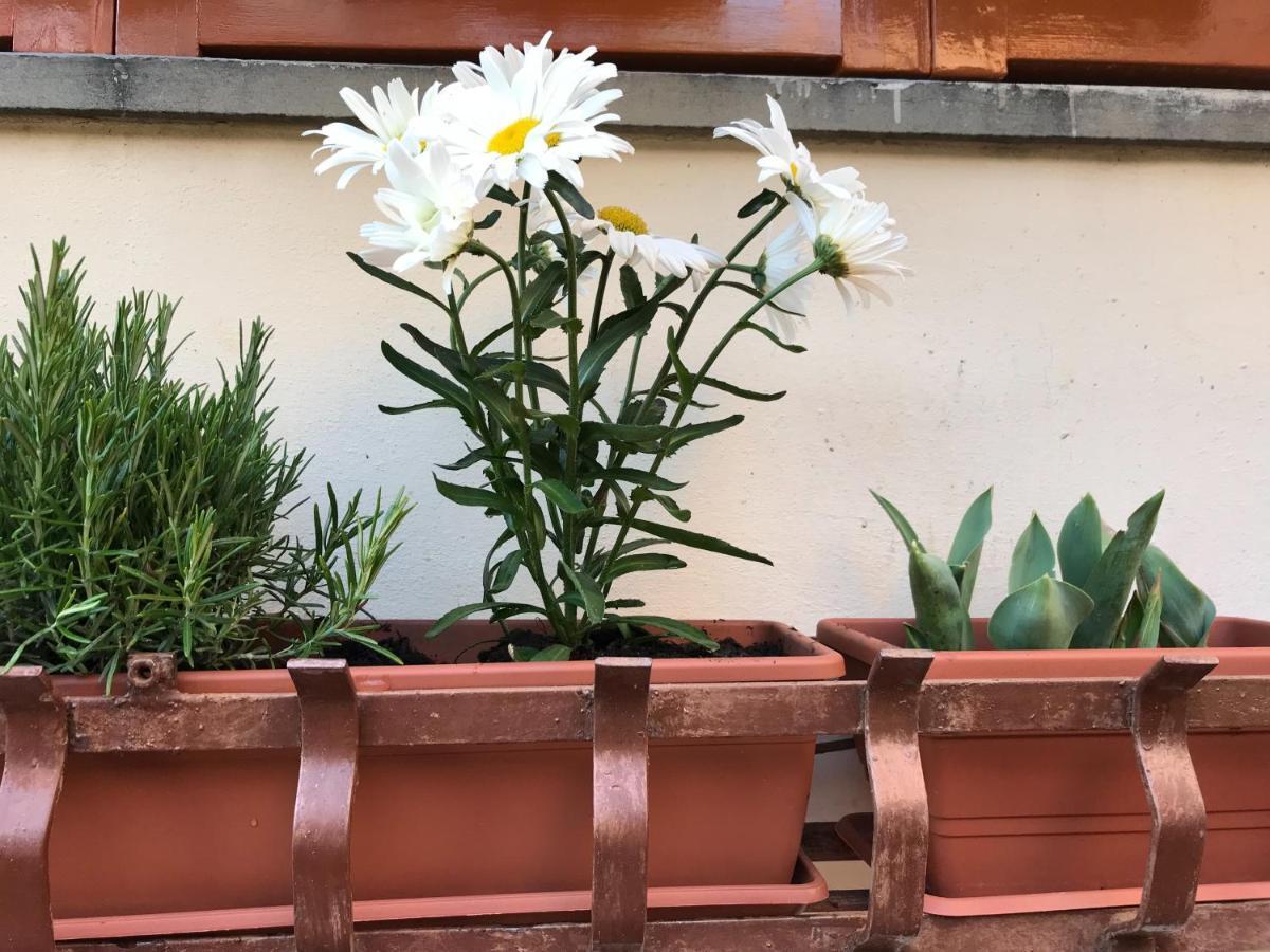 Apartament La Casa Fra Gli Ulivi Lerici Zewnętrze zdjęcie