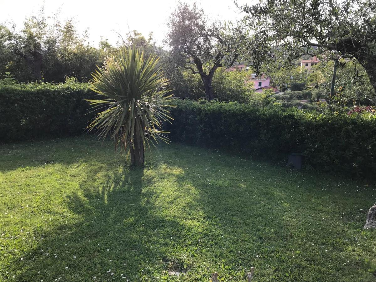 Apartament La Casa Fra Gli Ulivi Lerici Zewnętrze zdjęcie